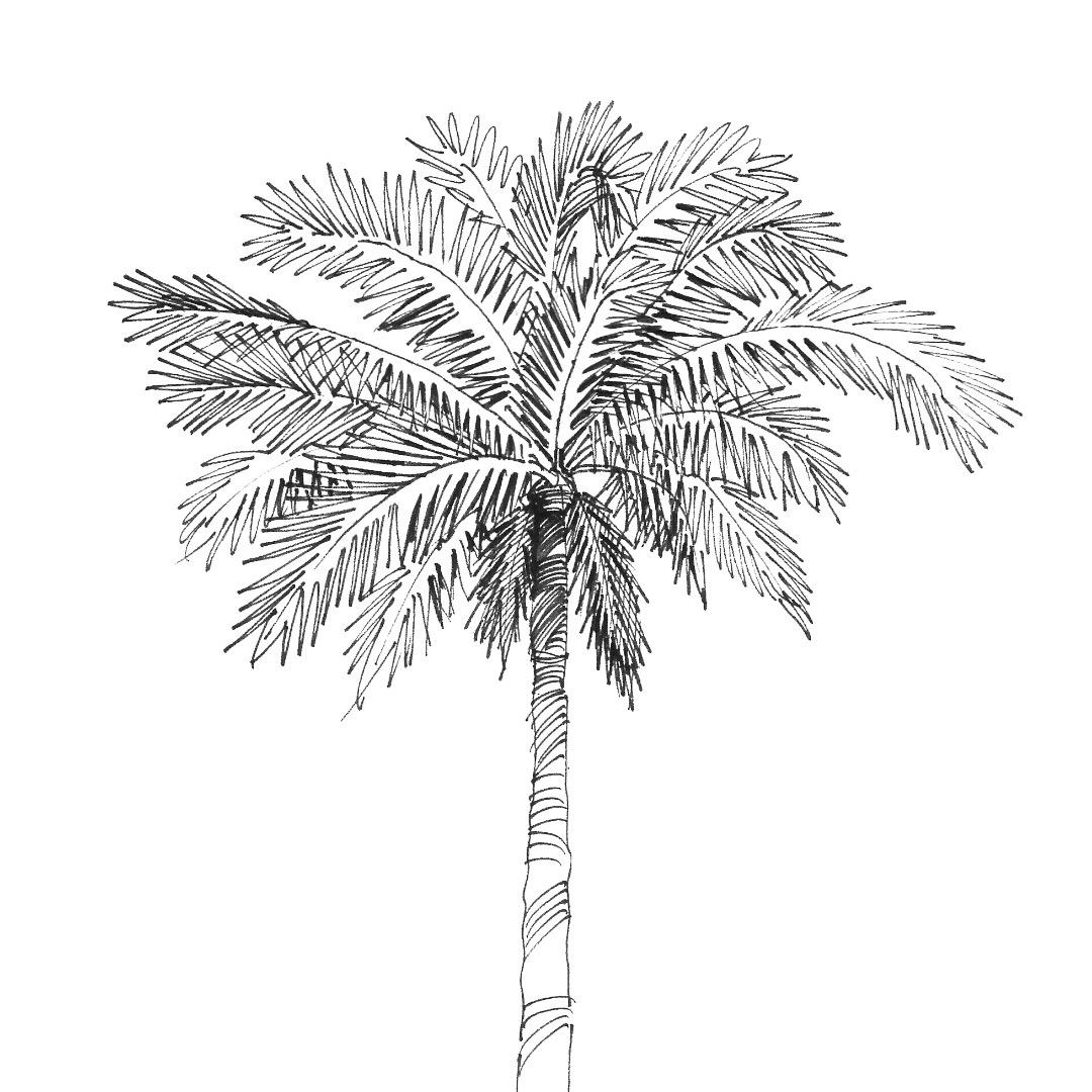 l'