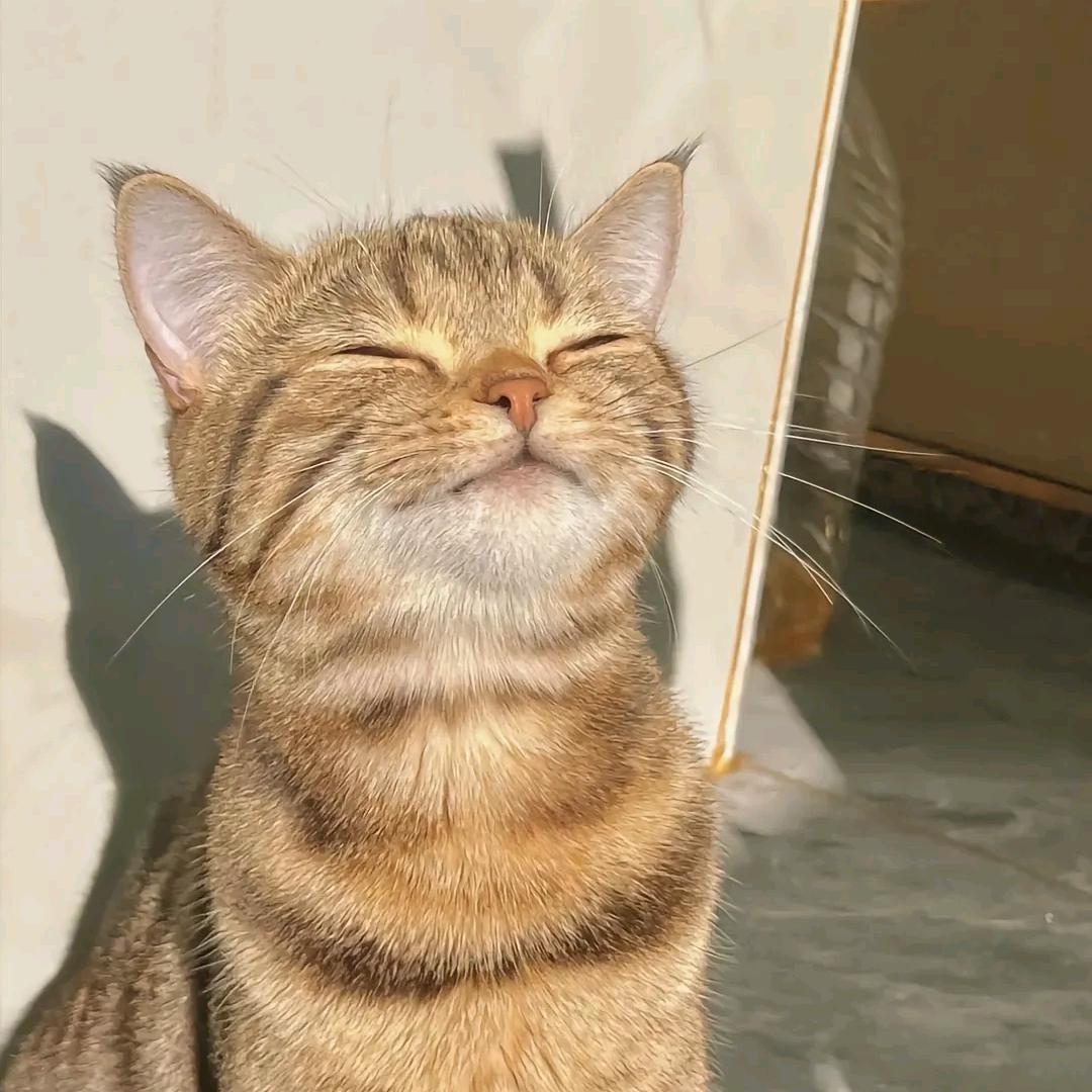 林宝拆卡社
