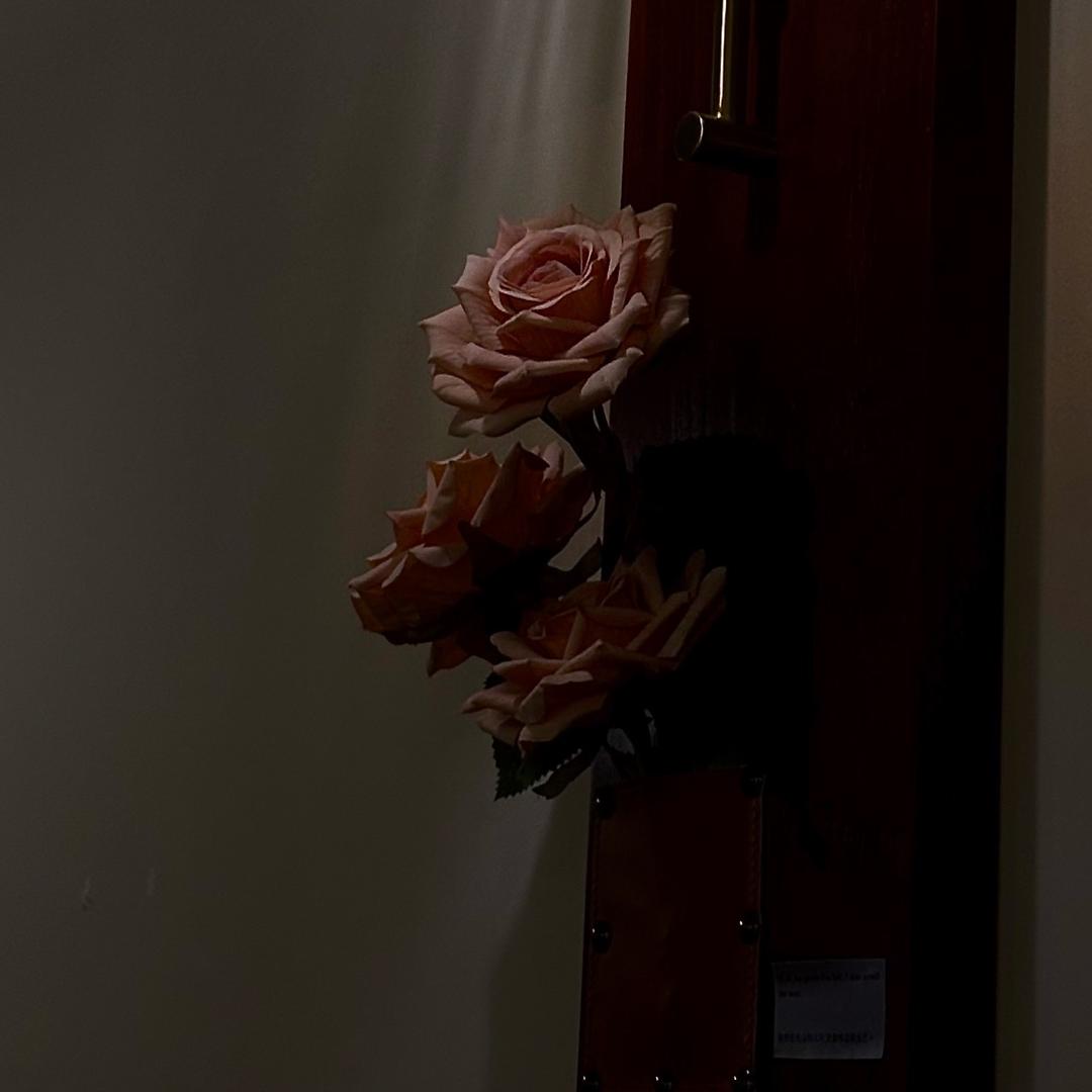 数绵羊