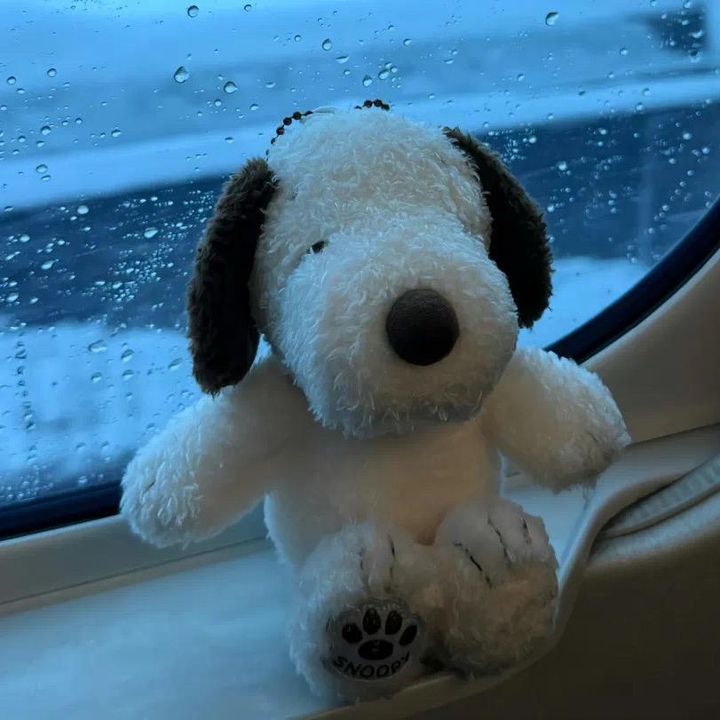 黑色儿（梦想上超）