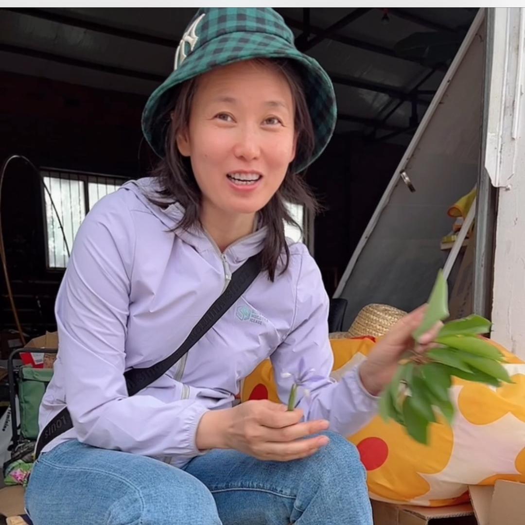 皇后娘娘