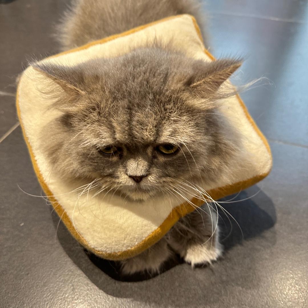 呱总