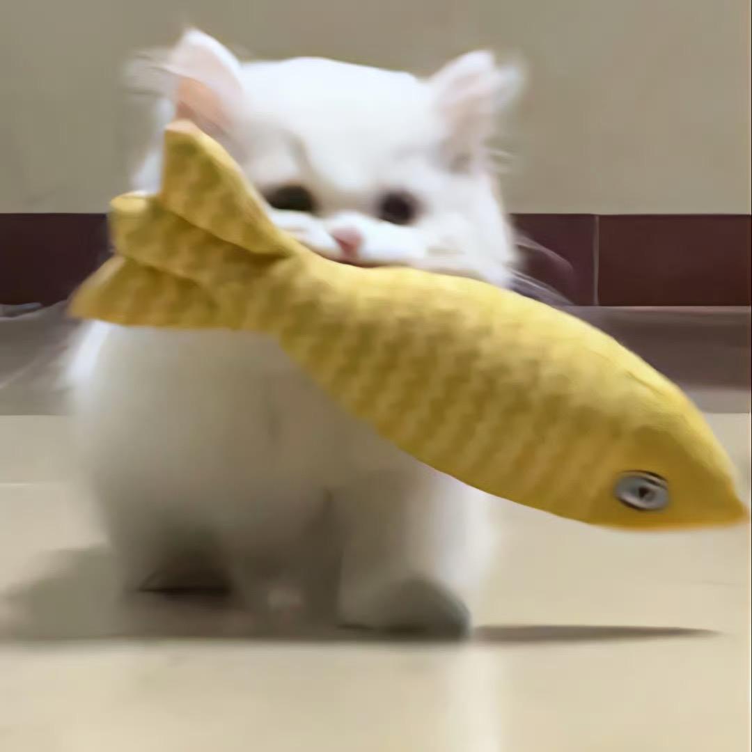 ruansiliuU