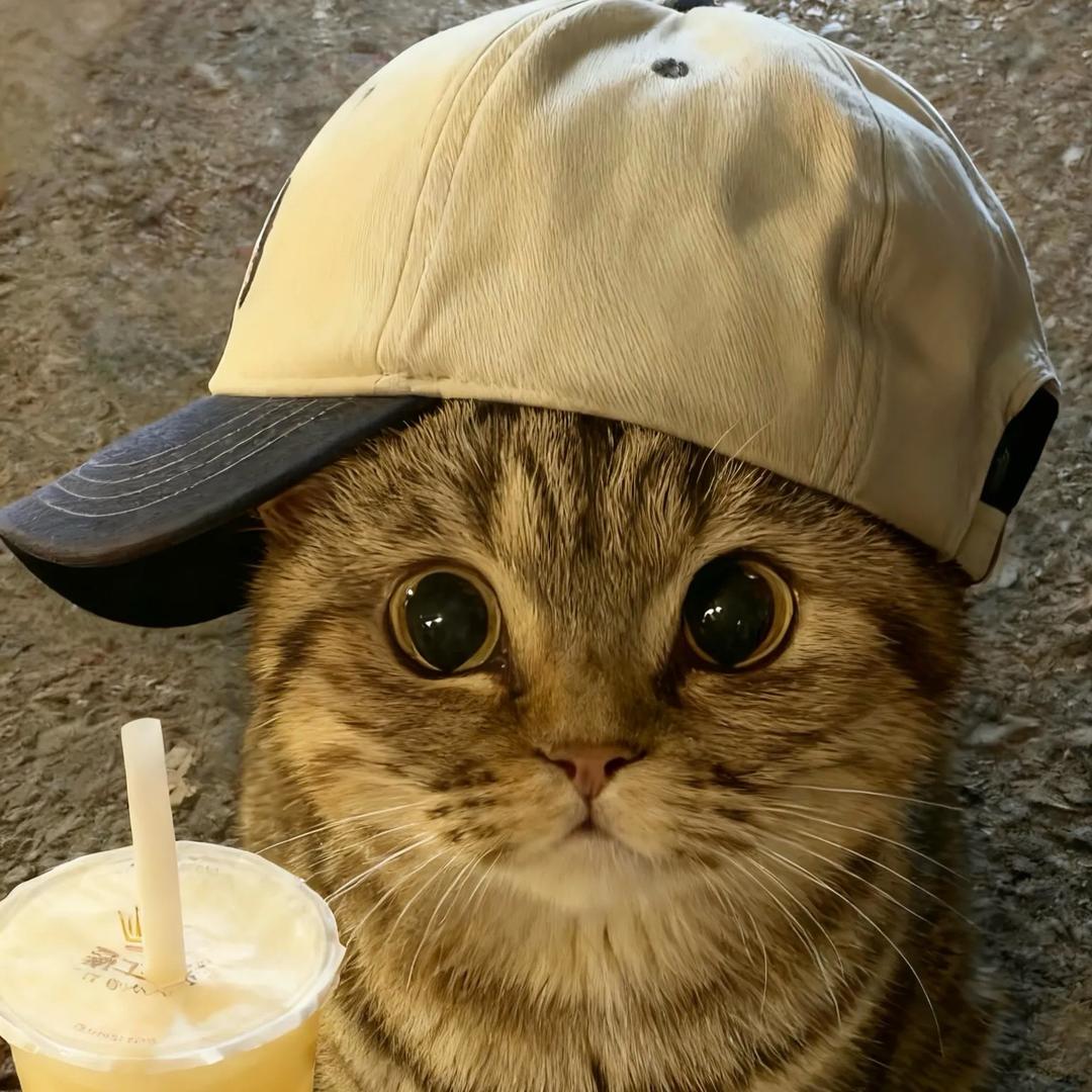 每天拉三斤巨💩