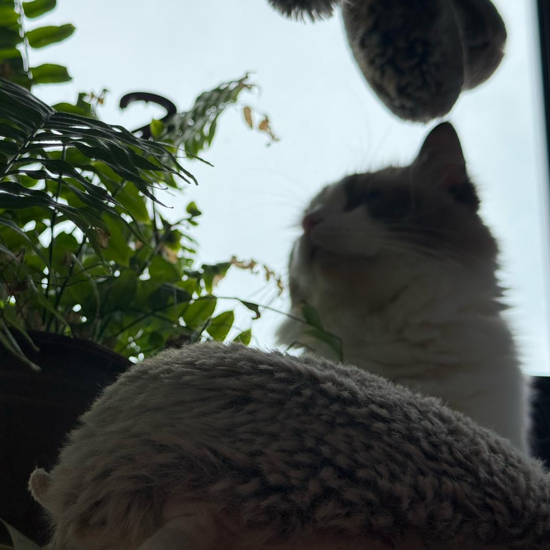。。。。。。。。