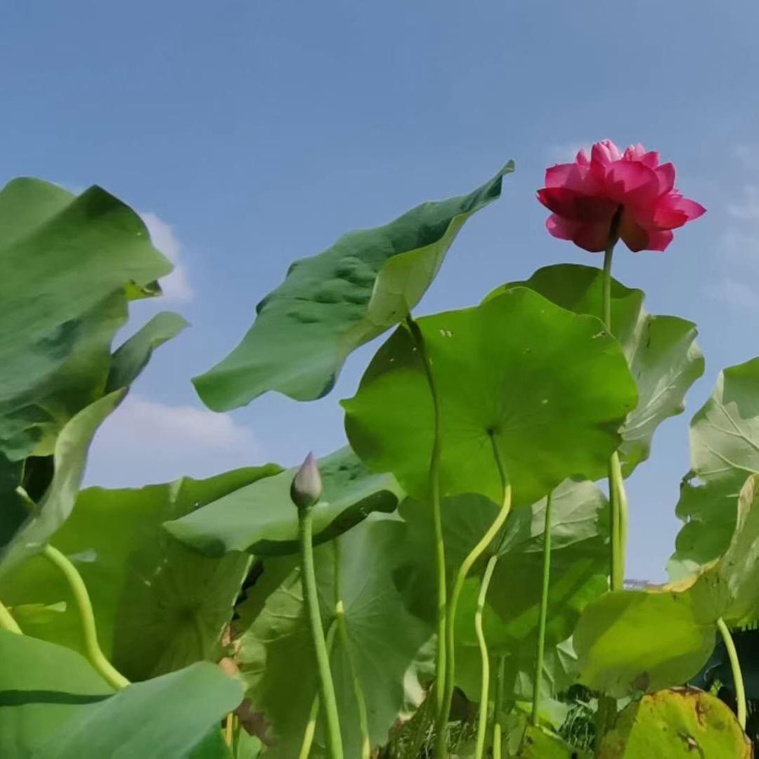 里里外外