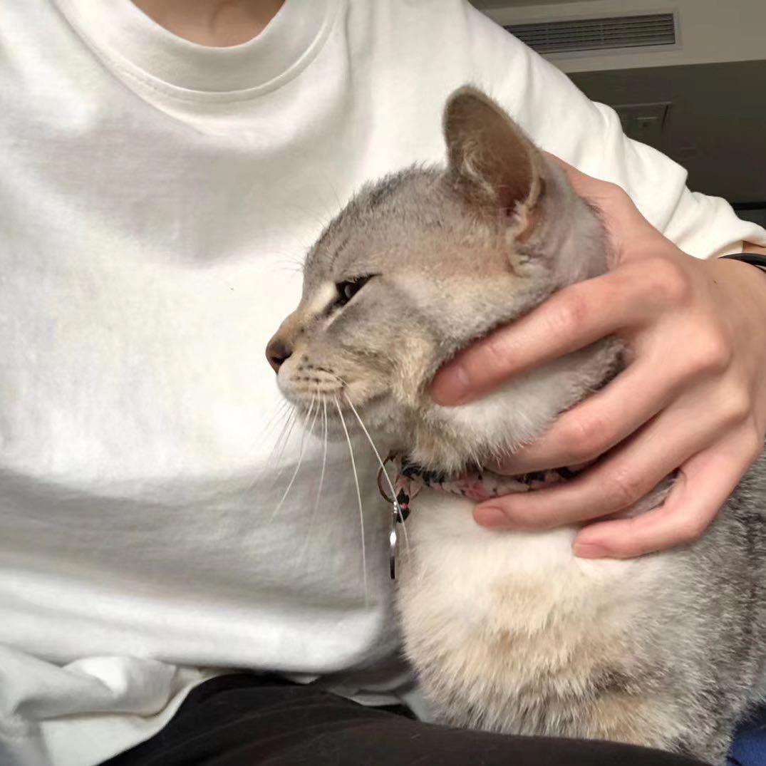 爱睡觉
