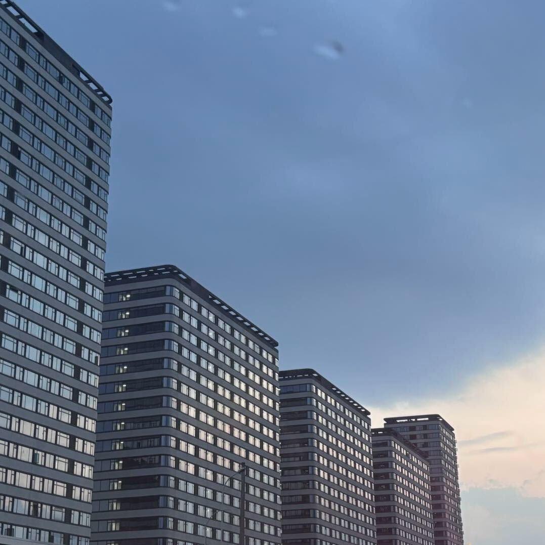 ￴ ￴岸上的鱼