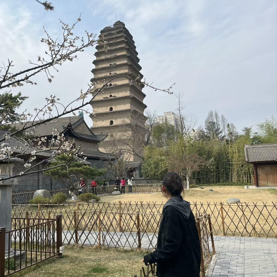 第二支羽毛