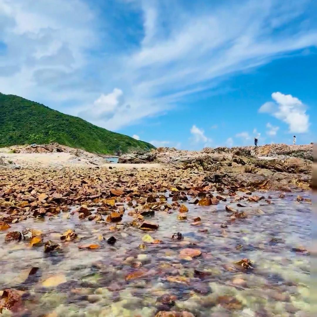 程宏百货专用号