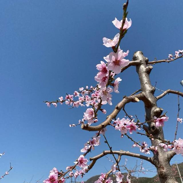 一路看风景