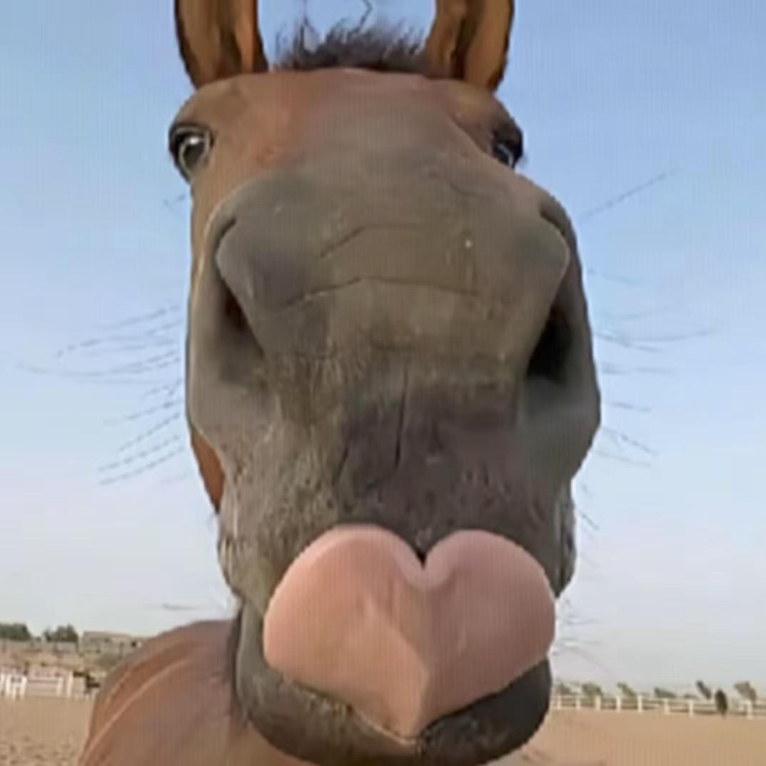 会飞天的超级大摩托