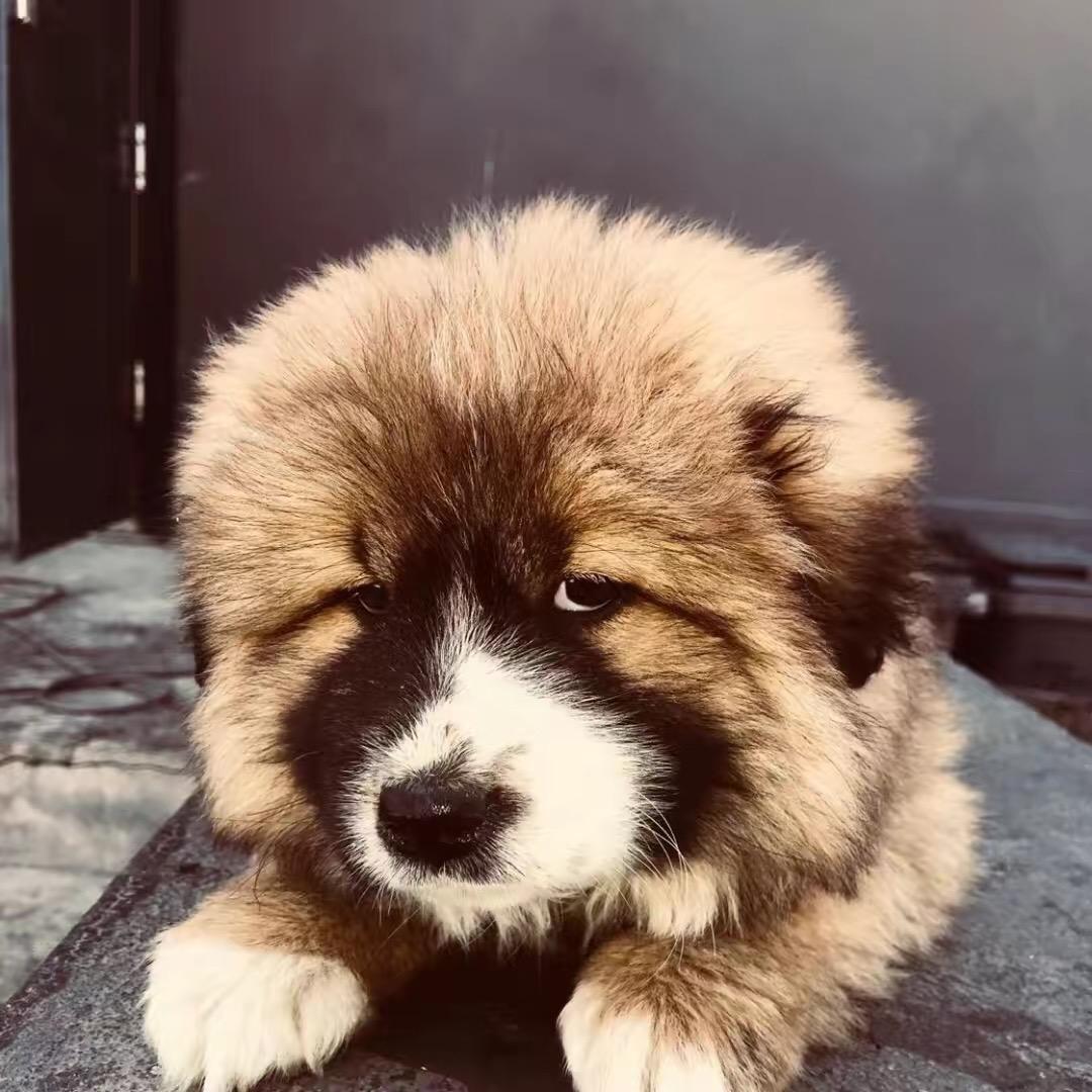 小宇💨