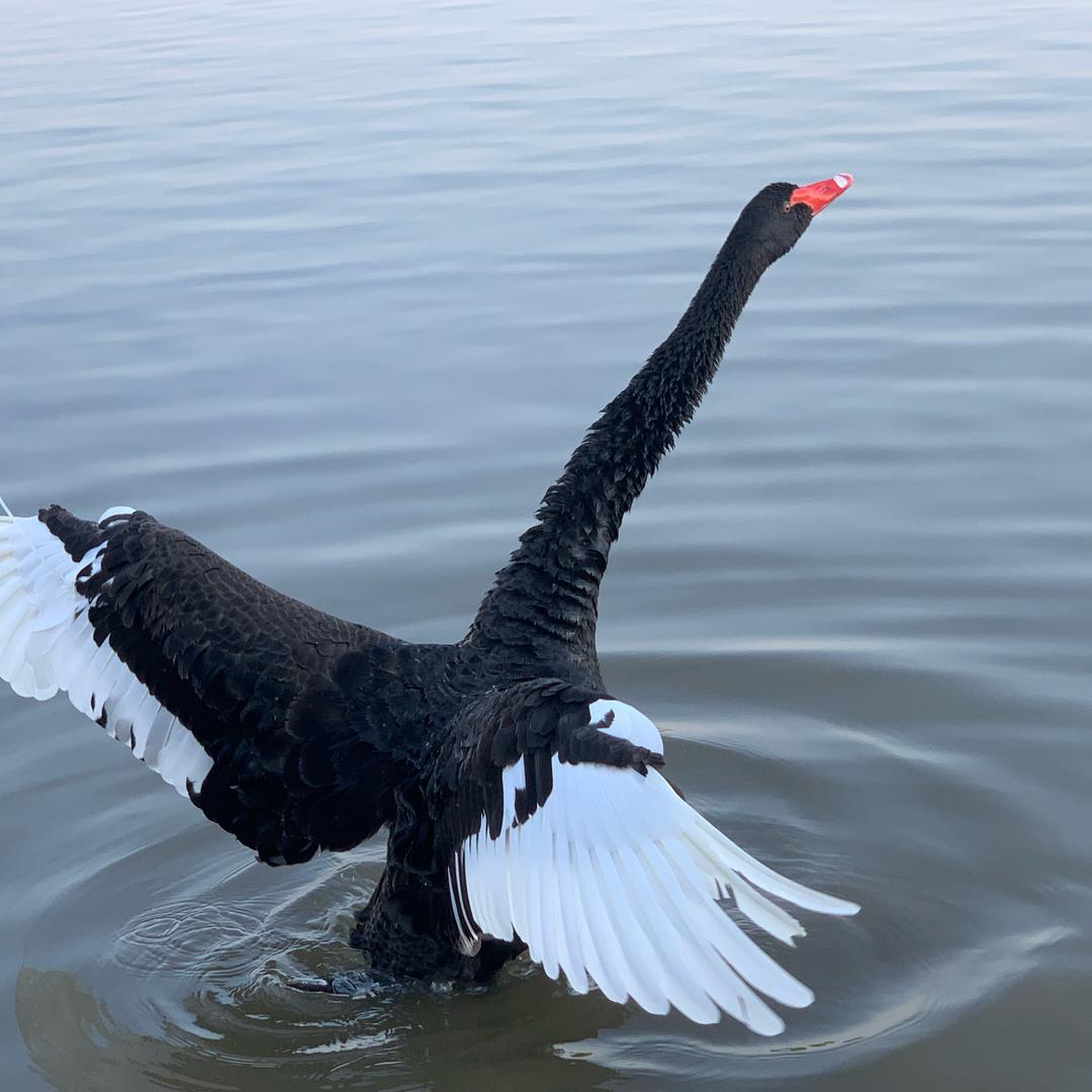 @ღ᭄小錢☆景꧔ꦿ᭄💞⁵²⁰