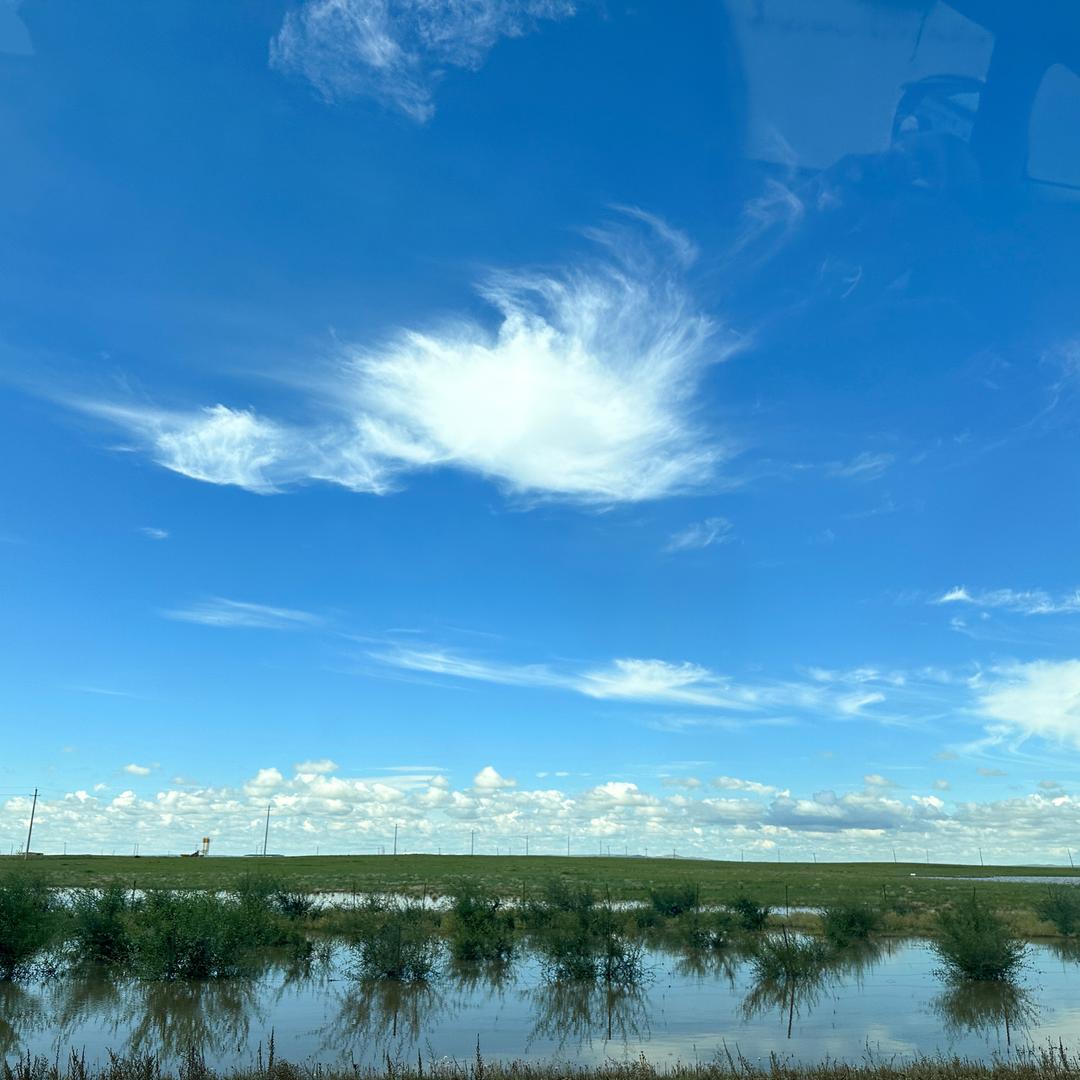 🎈🎈💕💕花花💕💕🎈🎈