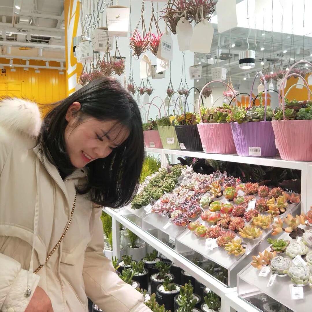 乌拉拉的减肥日记