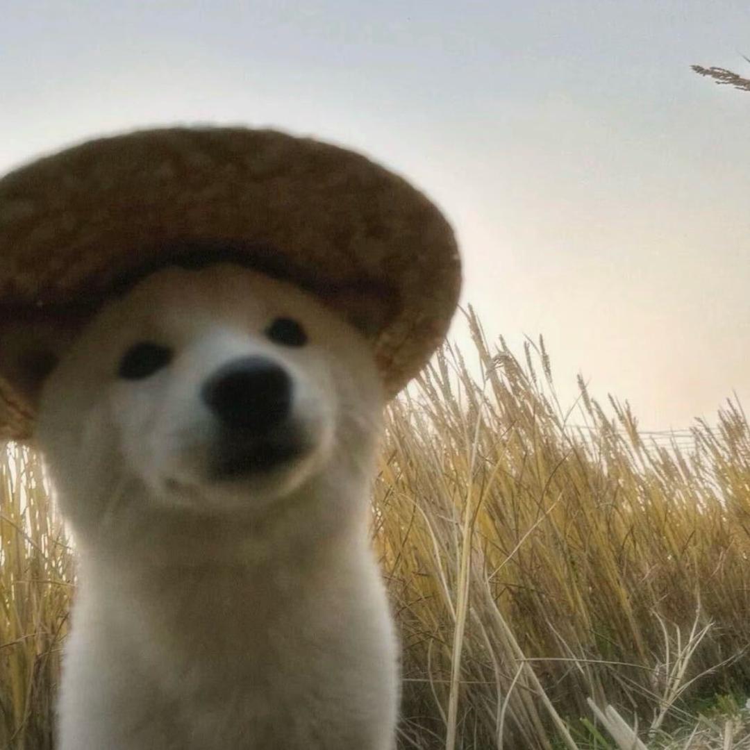 Aaa