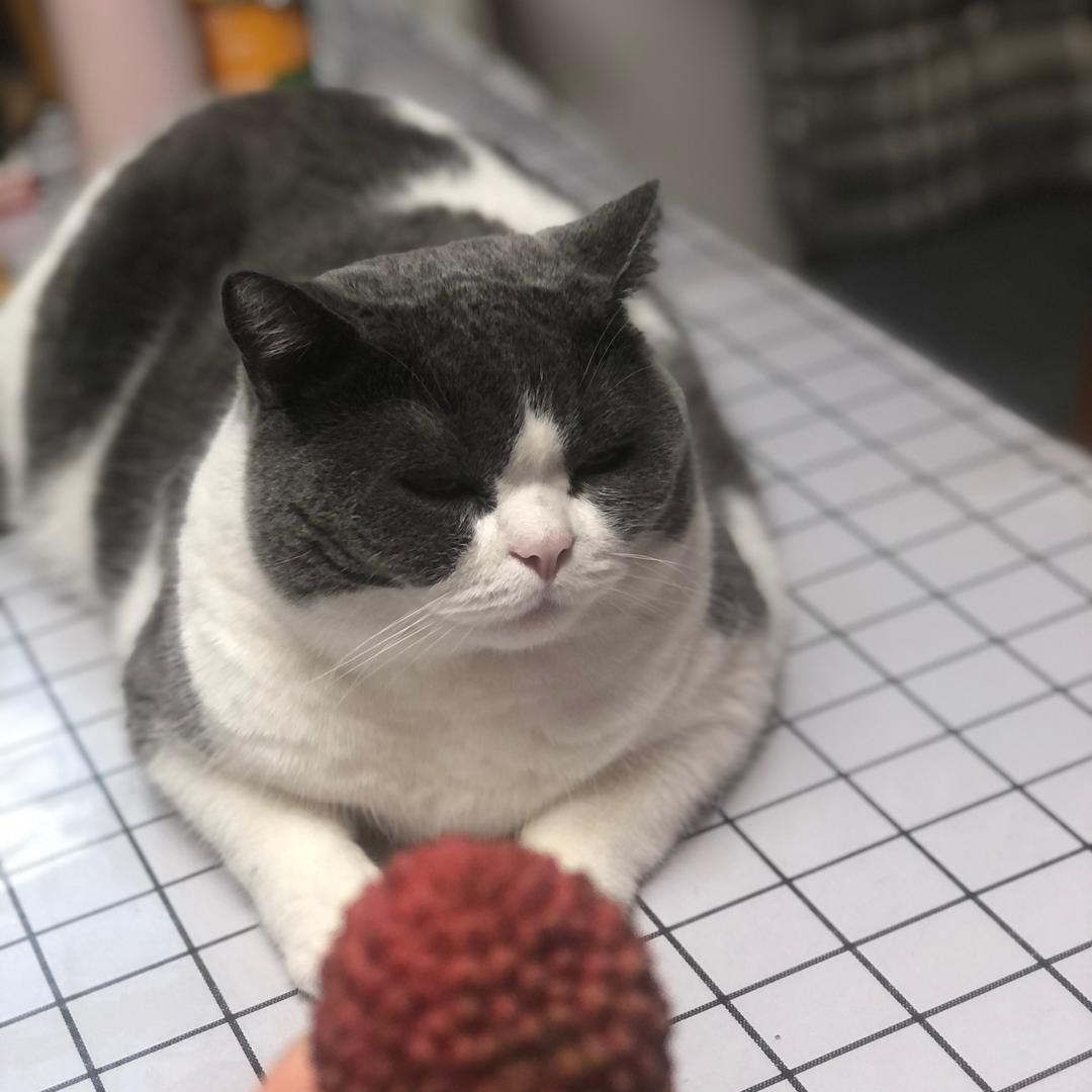 虹桥