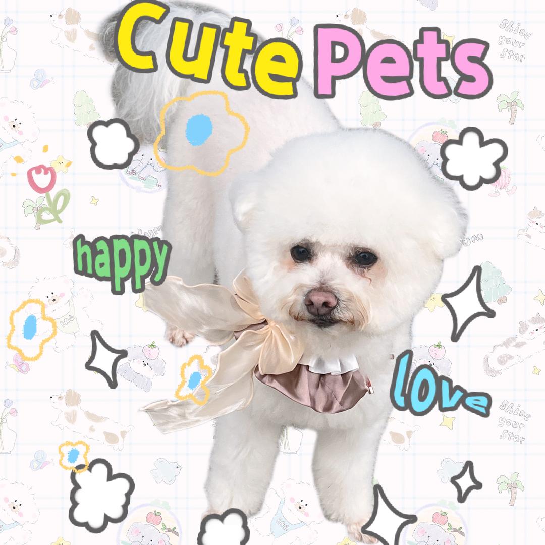 臭逗宝的朋友圈➿