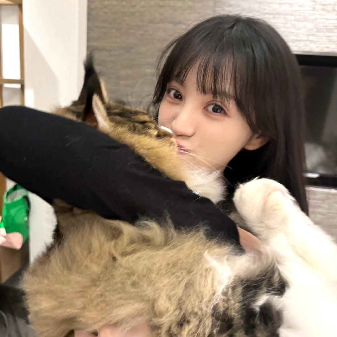 会飞的鱼🐡