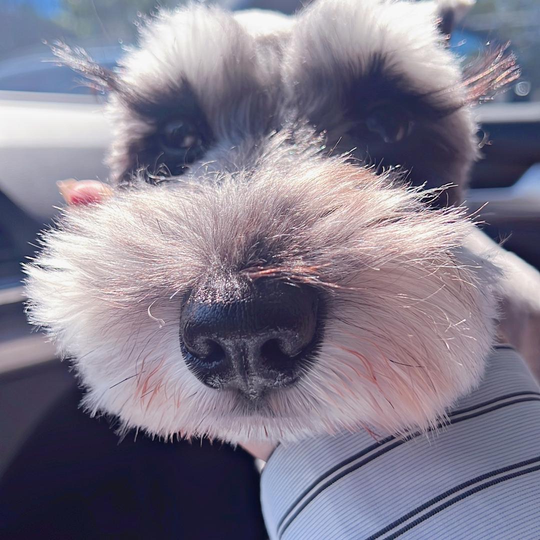 新白杨树纸品工厂