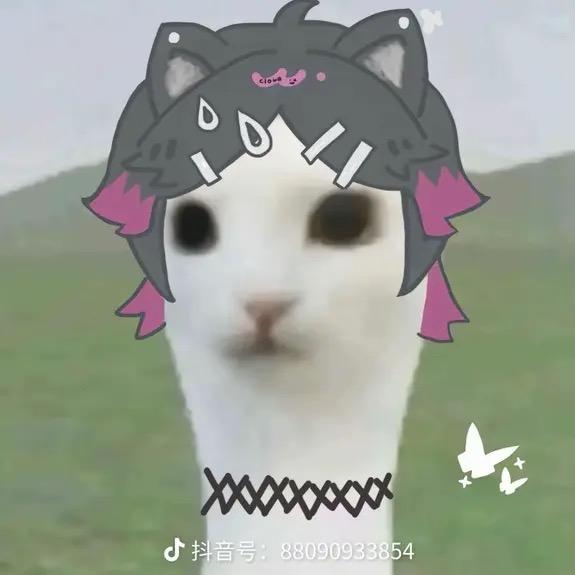 qqqq
