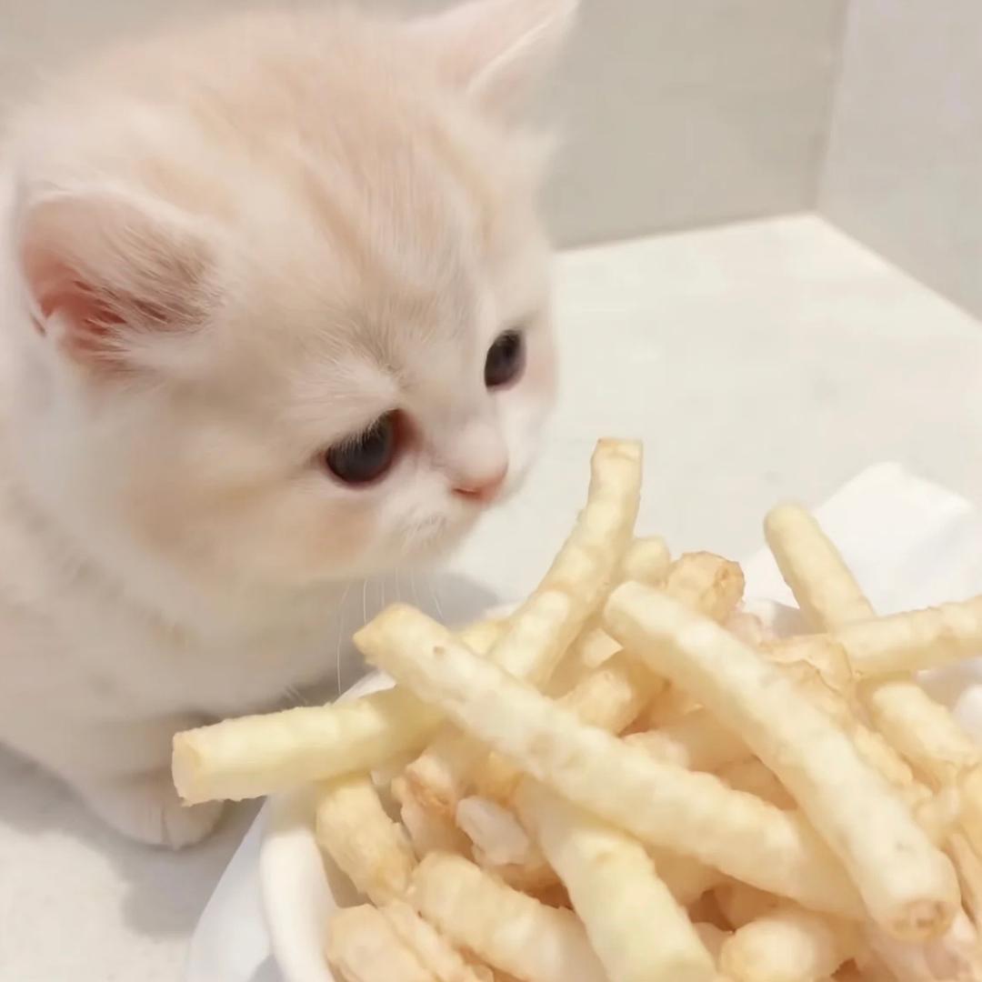 826
