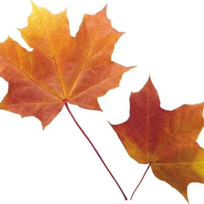 施甸和美食品厂