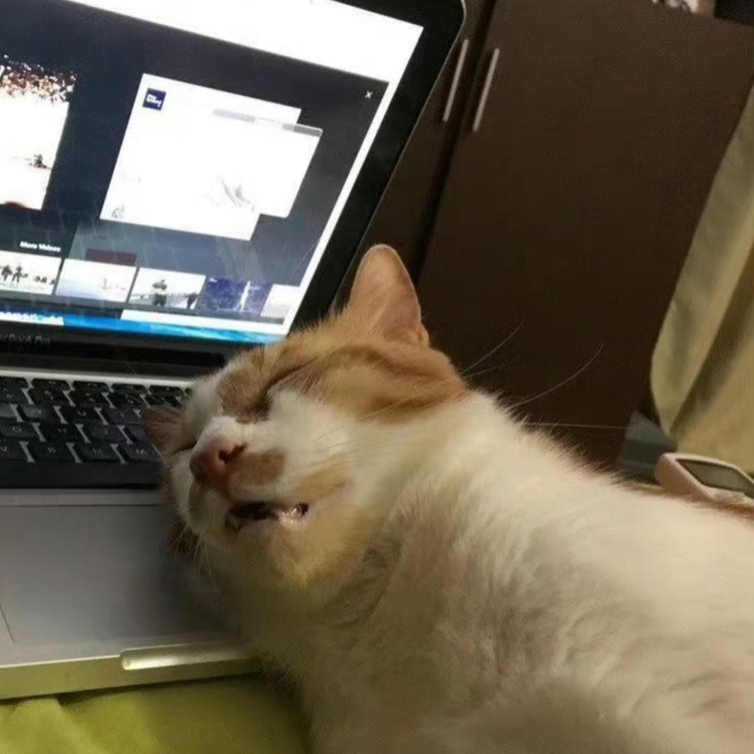 窝补药上早八