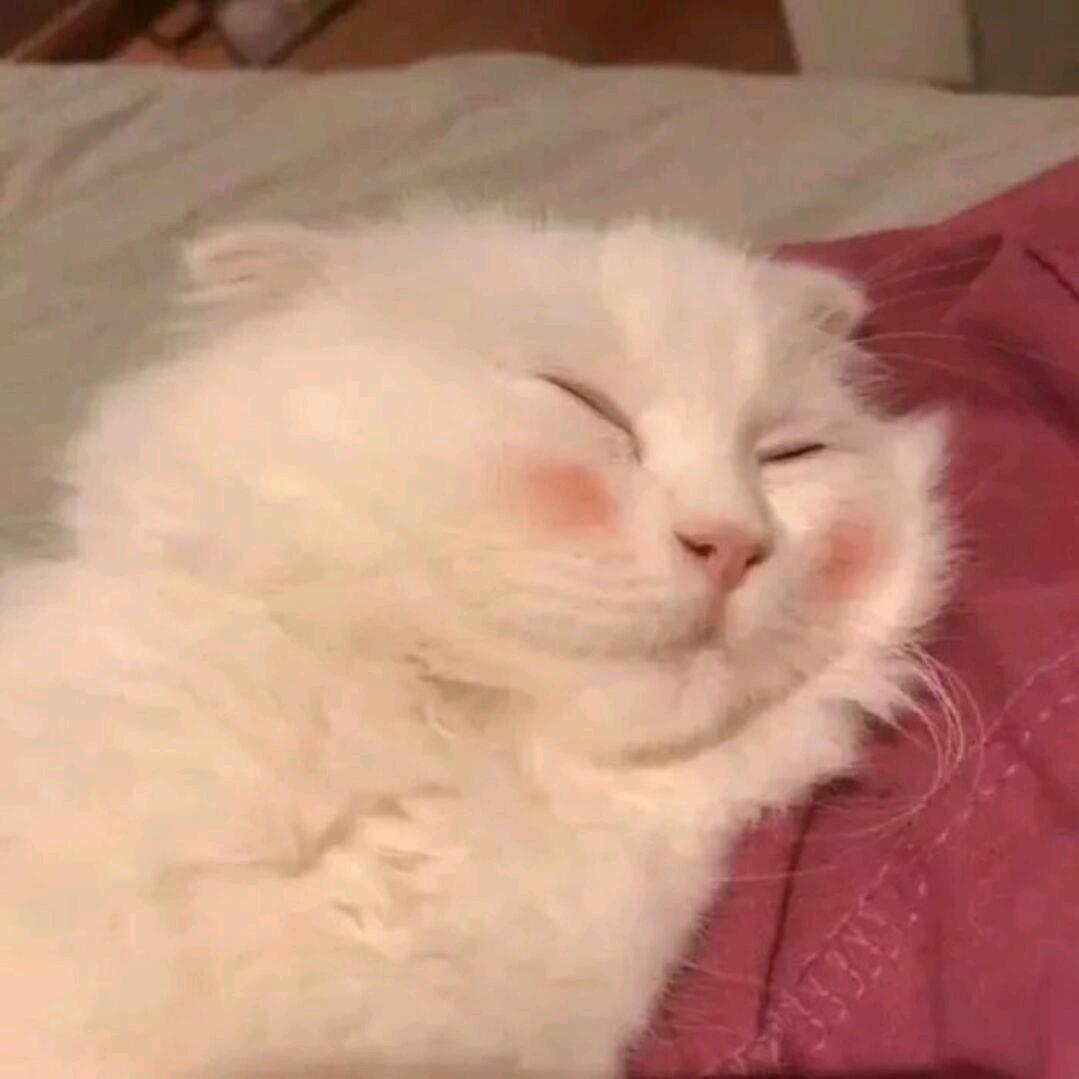 llllll