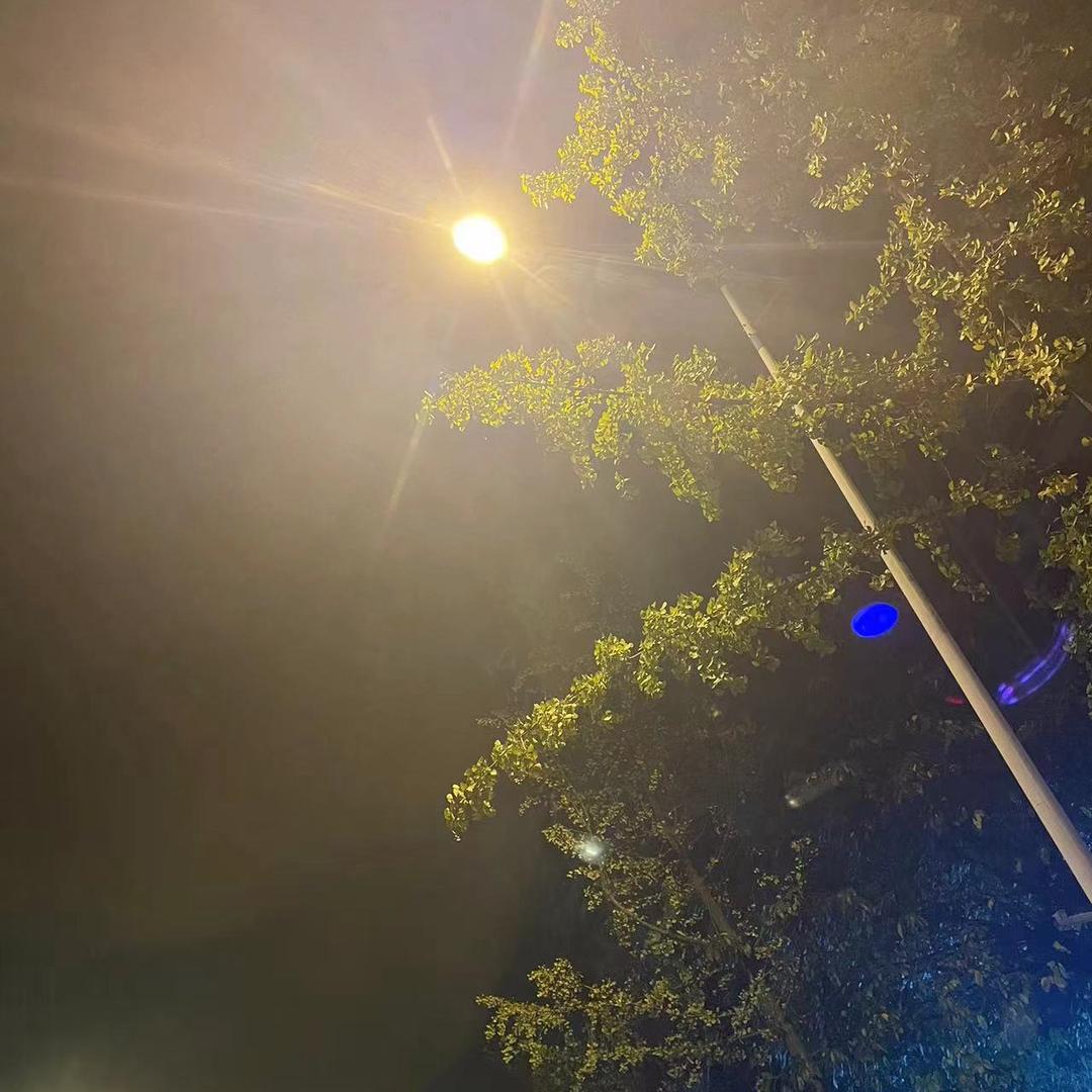 ✨言尽💫