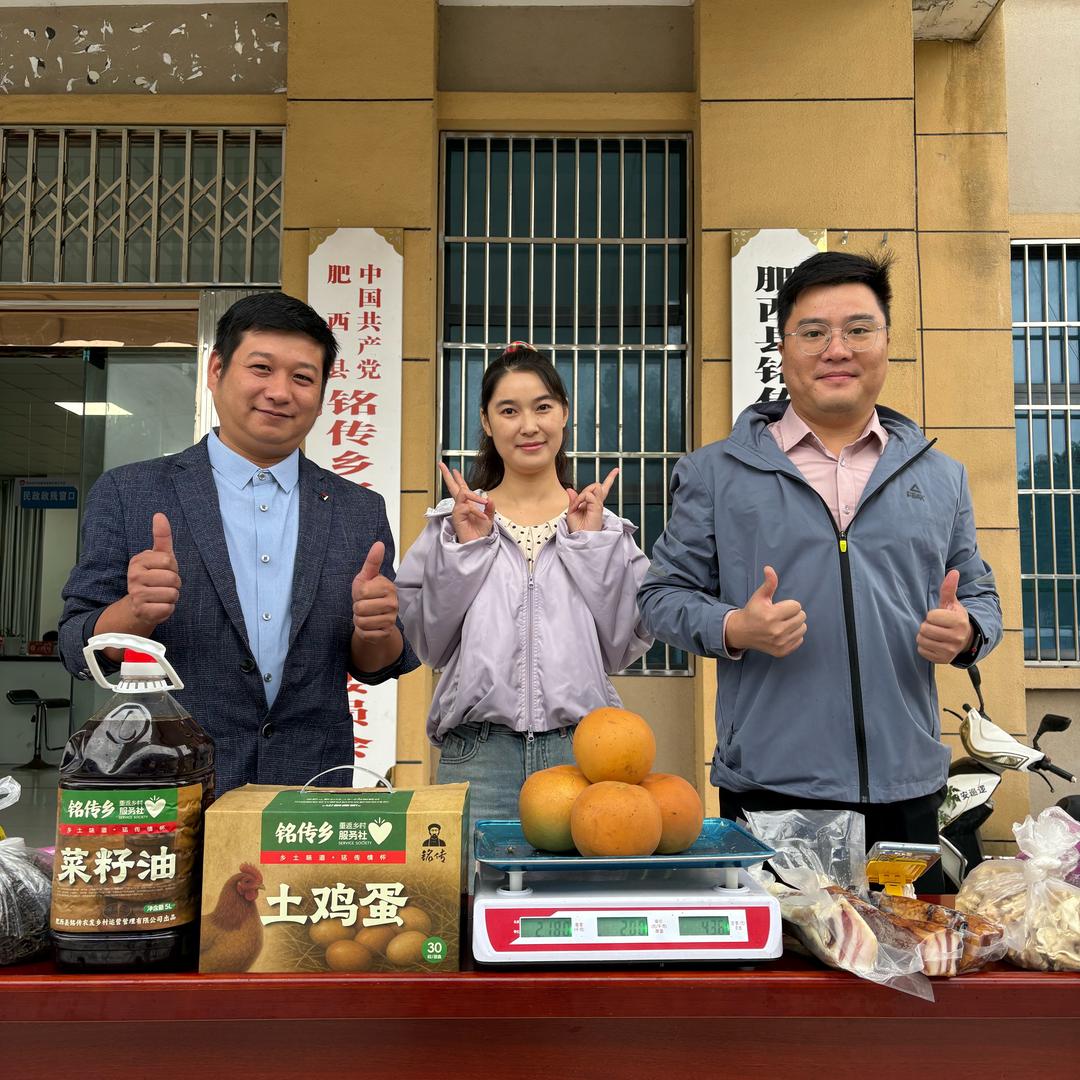 皖美村书记·聚星片区
