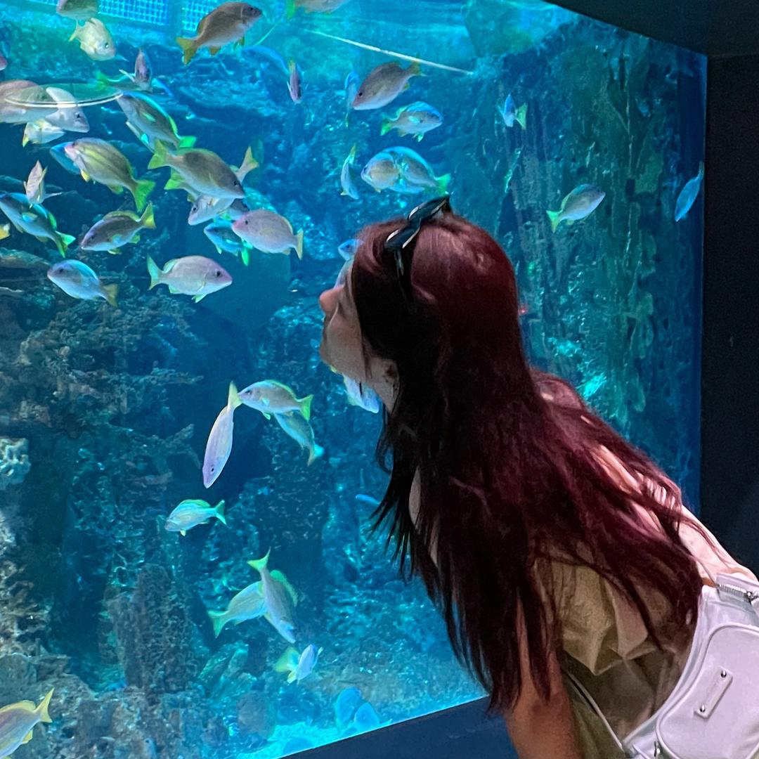 圆圆是个猪猪包