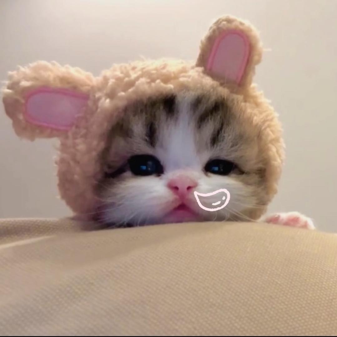 八秒鱼