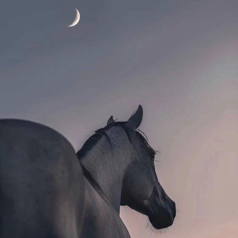 忘了说再见的缘