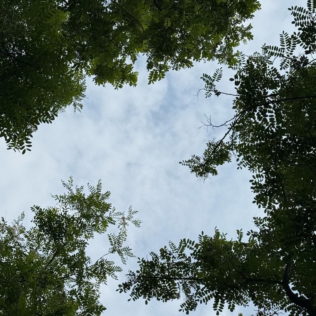 简一一