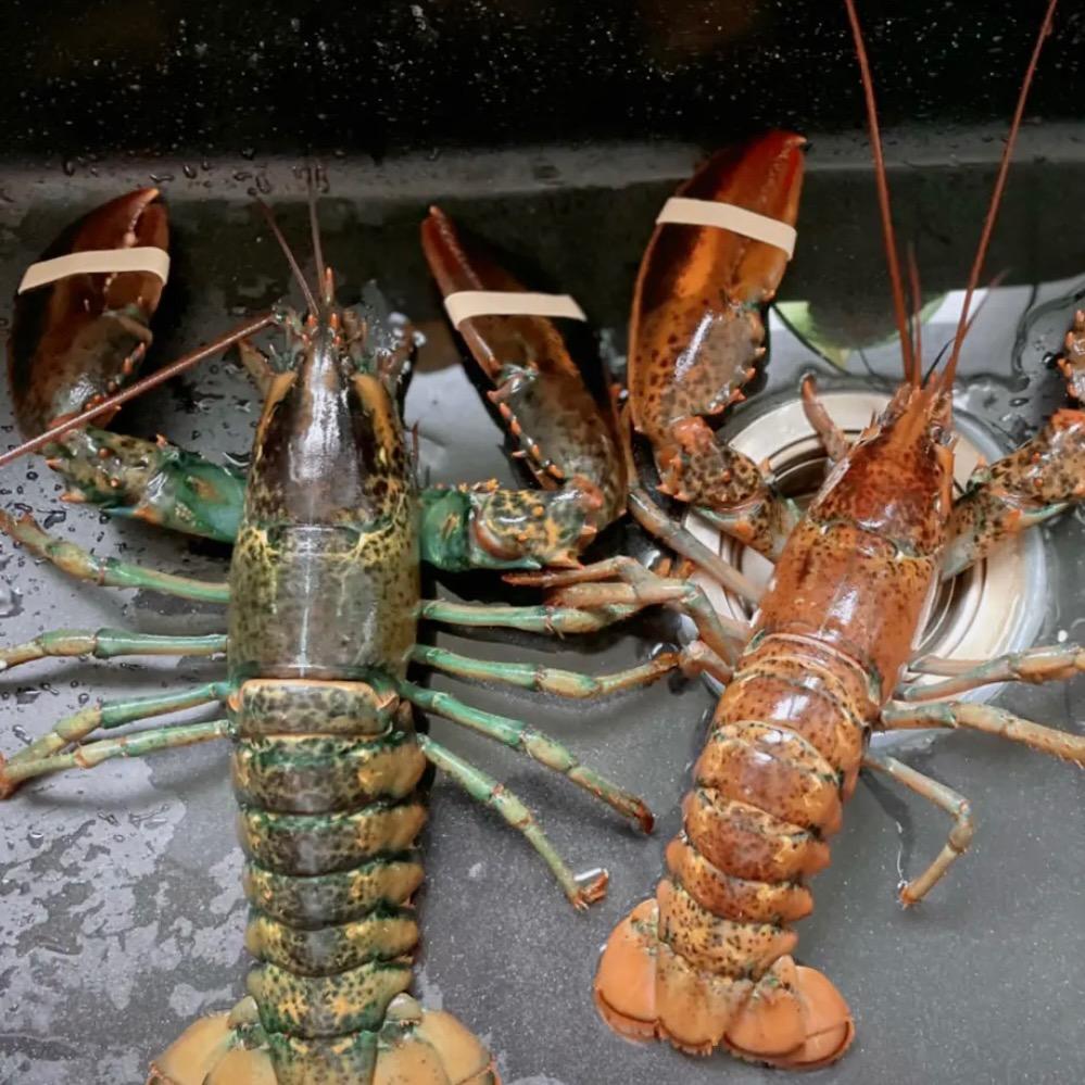 顶鲜海鲜