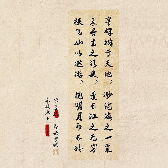 诗酒趁年华