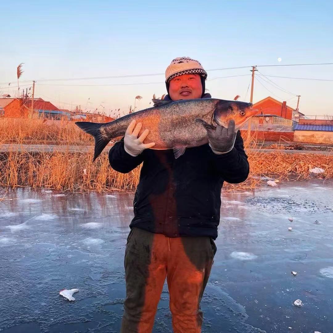 张大宝的农村烧烤生活