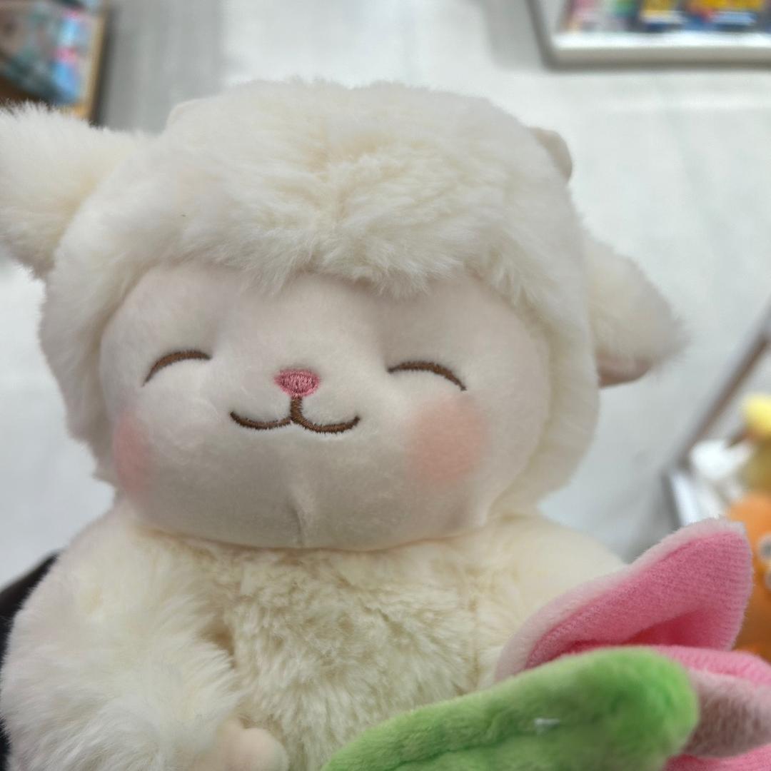 小哇.