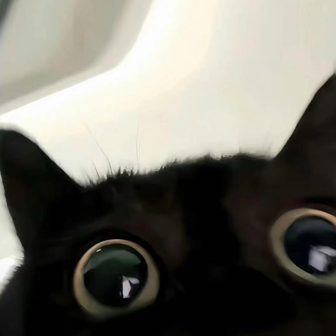 ⌯xiᴗ<⌯ಣ