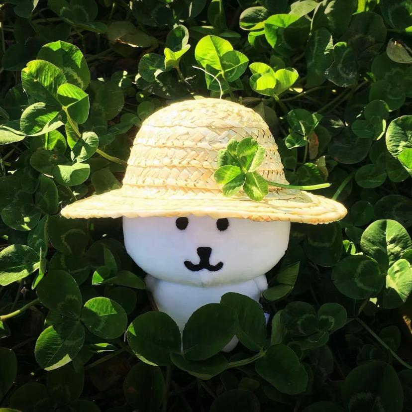 奕芯怡奕
