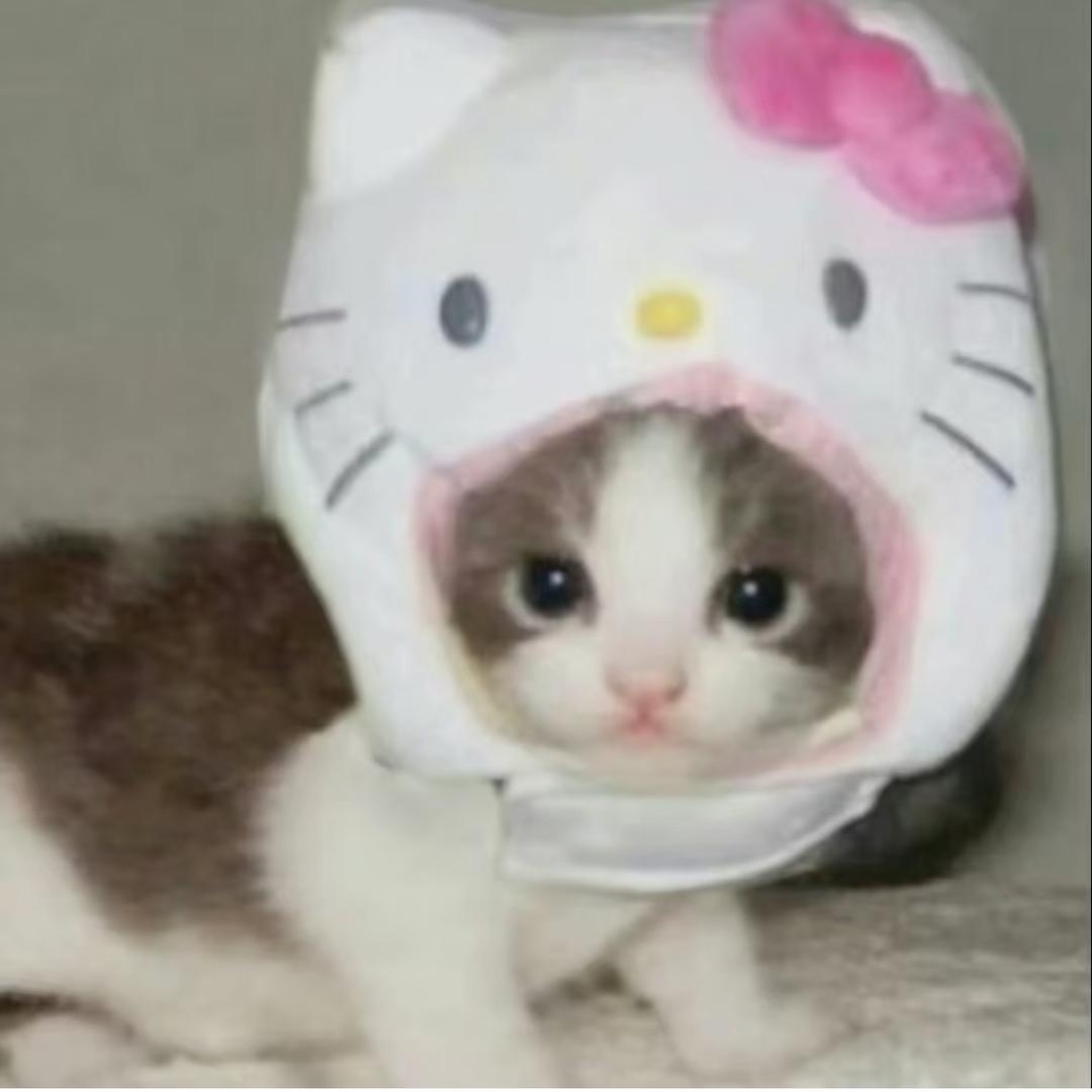 睡觉不在线