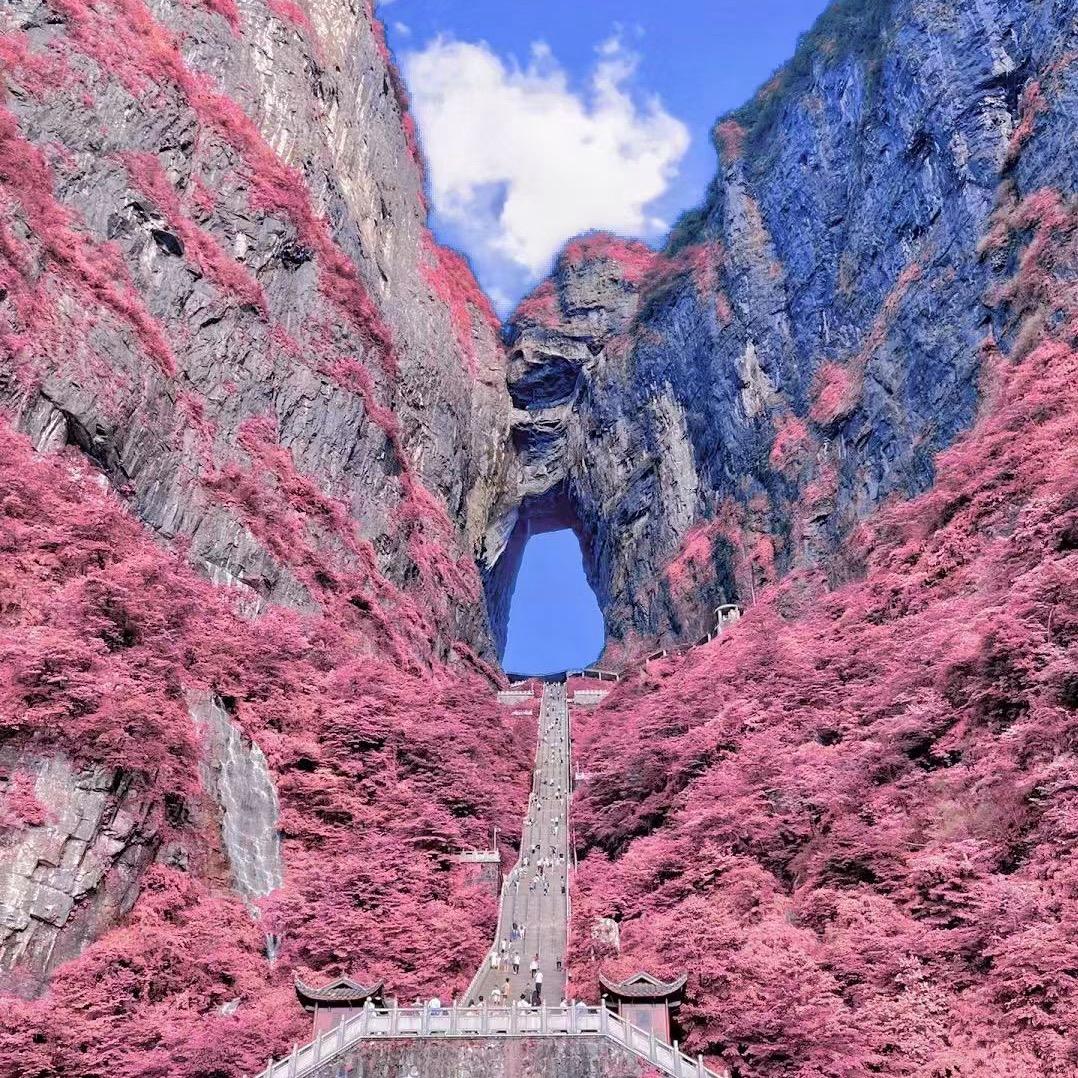 王后余生