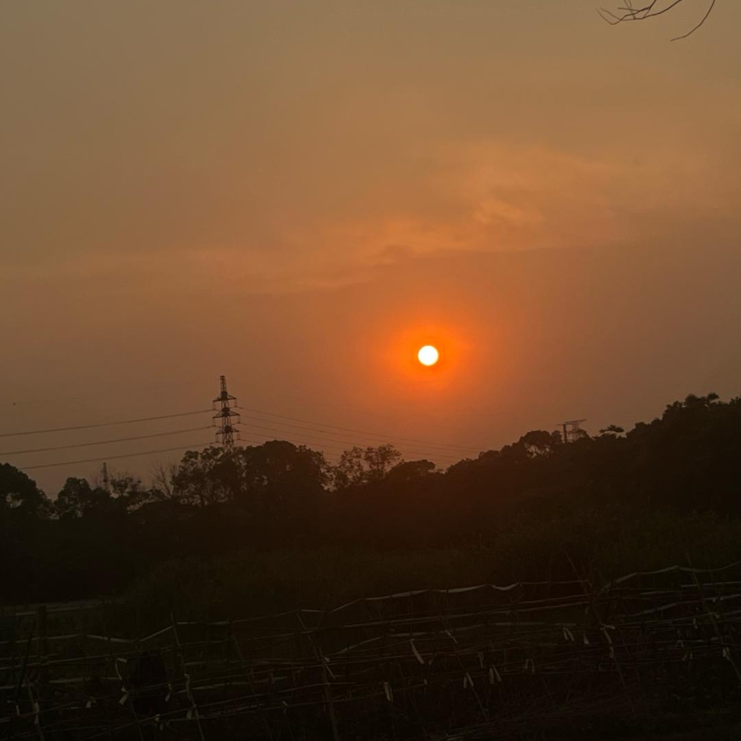 枯木不逢春.