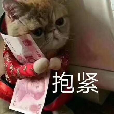 羊羊