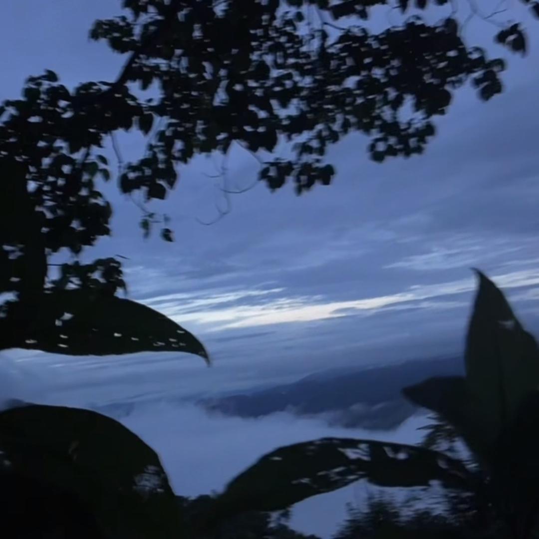 山野集农副产品精选店