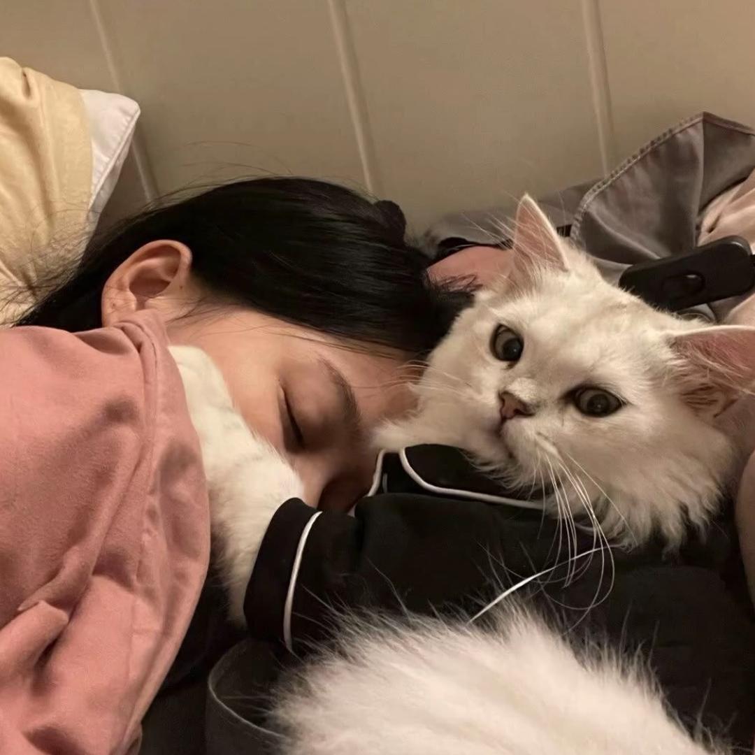 妳的小女友^