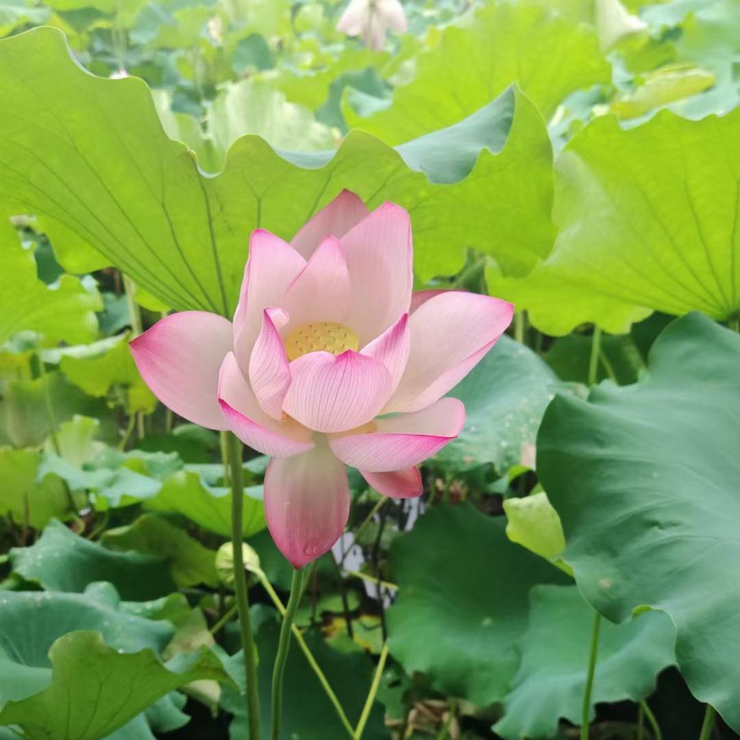 小王正能量