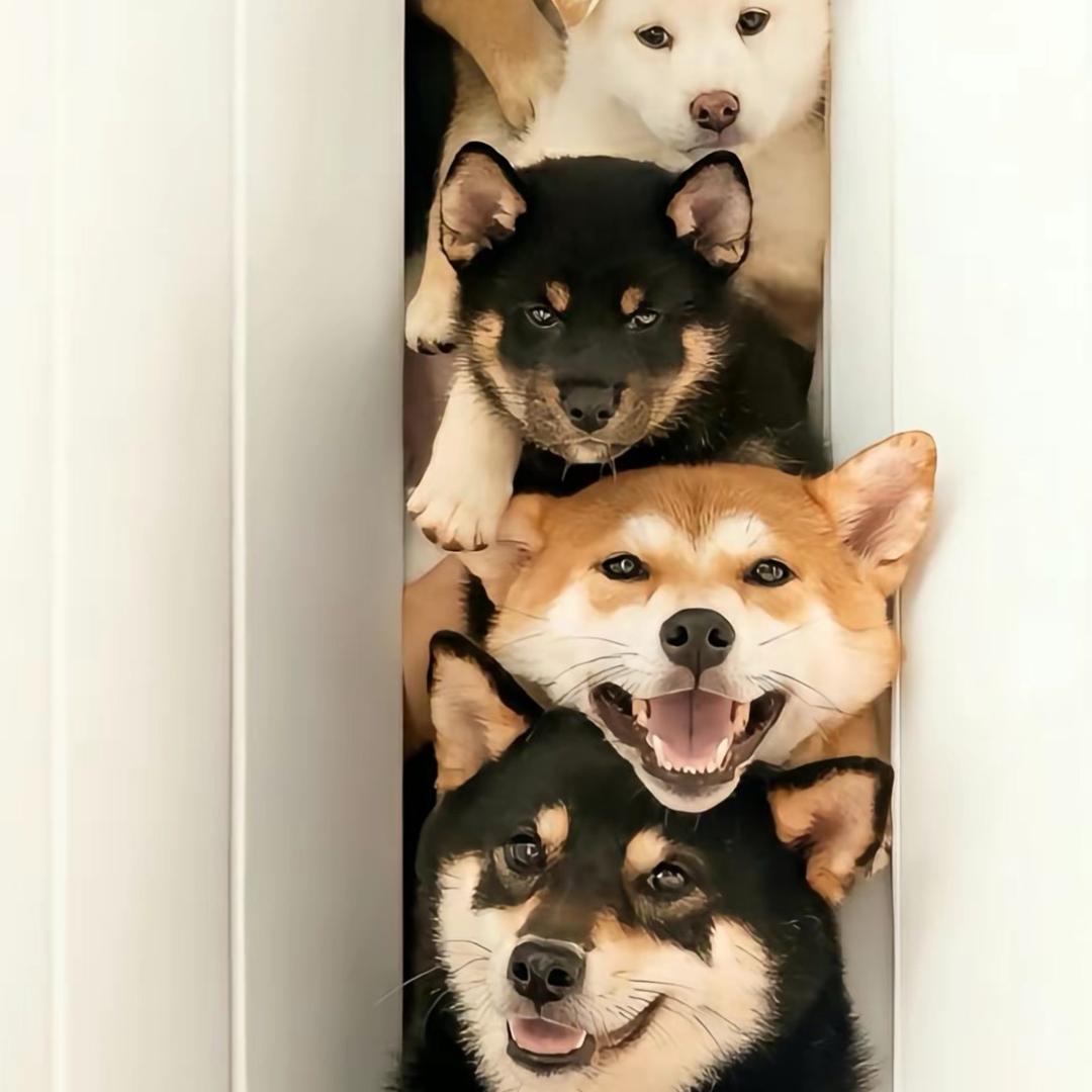 宣言℃